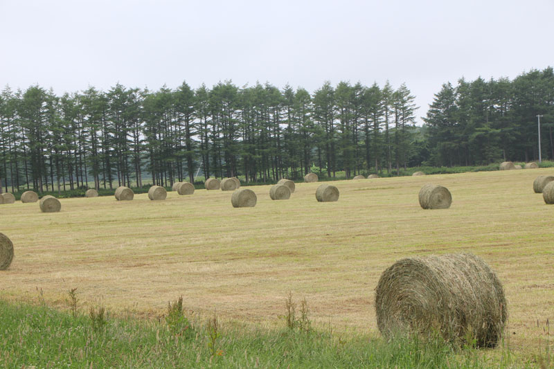 photo0303